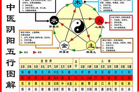 1984年鼠|1984年属鼠是什么命，84年出生五行属什么